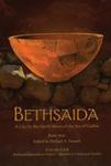 <i>Bethsaida: A City by the North Shore of the Sea of Galilee, vol. 4</i>